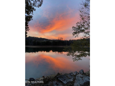 Welcome to exceptional lakefront living on Norris Lake. This - photo 40