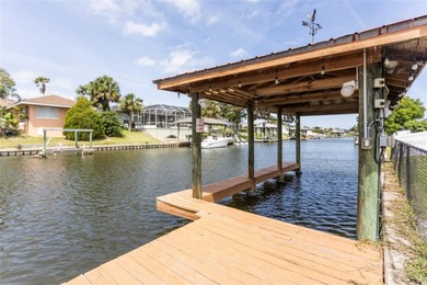 Wake up to dolphins swimming past your private dock. This - photo 3