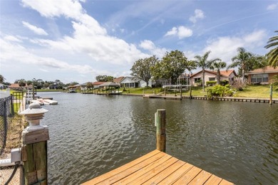Wake up to dolphins swimming past your private dock. This - photo 7