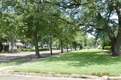 Historic Victorian Gem on Grand Boulevard - Greenwood, MS - photo 5