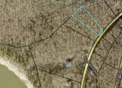 Unrestricted Lake Cumberland Lot - photo 3