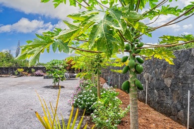 Discover a truly exceptional 1-acre 2020 build estate in Hilo - photo 21