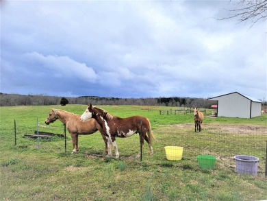 Lake Home Sale Pending in Arley, Alabama