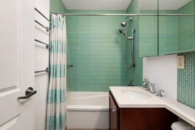 Top-Floor 4-Bedroom Condo in the Heart of the Lower East Side - photo 8