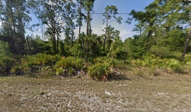 Lehigh Acres Area Lot For Sale in Lehigh Acres Florida