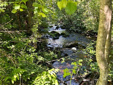 COUNTRY LIVING OVERLOOKING THE BEAUTIFUL LITTLE POPPLE RIVER! - photo 3