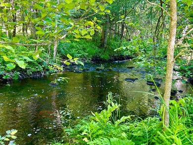 COUNTRY LIVING OVERLOOKING THE BEAUTIFUL LITTLE POPPLE RIVER! - photo 4