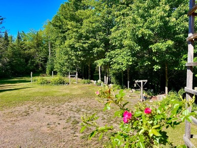 COUNTRY LIVING OVERLOOKING THE BEAUTIFUL LITTLE POPPLE RIVER! - photo 5