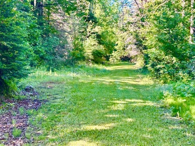 COUNTRY LIVING OVERLOOKING THE BEAUTIFUL LITTLE POPPLE RIVER! - photo 6