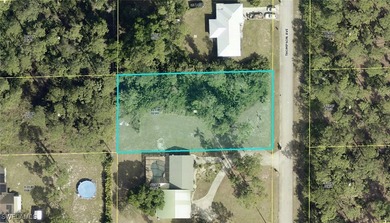 Lehigh Acres Area Lot For Sale in Lehigh Acres Florida