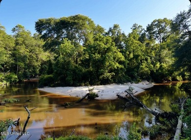 (private lake, pond, creek) Acreage For Sale in Carriere Mississippi