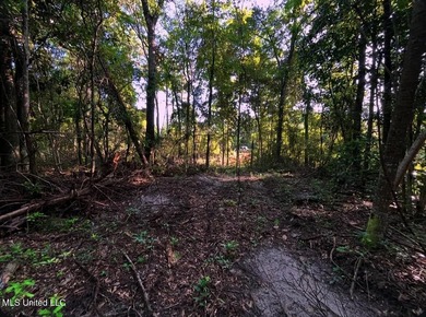 DREAM PROPERTY ALERT 14.4 Acres | 1000 Ft Creek Frontage | - photo 2