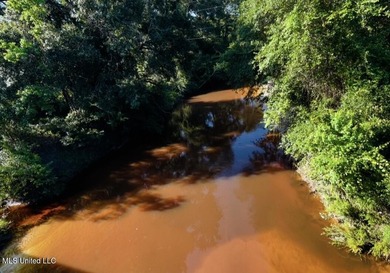 DREAM PROPERTY ALERT 14.4 Acres | 1000 Ft Creek Frontage | - photo 3