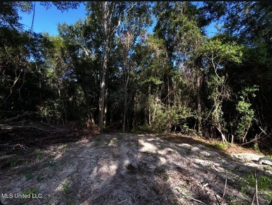 DREAM PROPERTY ALERT 14.4 Acres | 1000 Ft Creek Frontage | - photo 4
