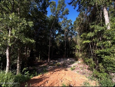 DREAM PROPERTY ALERT 14.4 Acres | 1000 Ft Creek Frontage | - photo 5