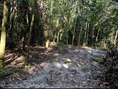 DREAM PROPERTY ALERT 14.4 Acres | 1000 Ft Creek Frontage | - photo 6
