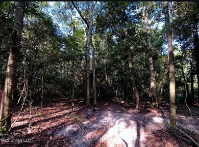 DREAM PROPERTY ALERT 14.4 Acres | 1000 Ft Creek Frontage | - photo 7