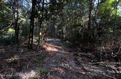 DREAM PROPERTY ALERT 14.4 Acres | 1000 Ft Creek Frontage | - photo 8