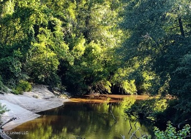 DREAM PROPERTY ALERT 14.4 Acres | 1000 Ft Creek Frontage | - photo 9