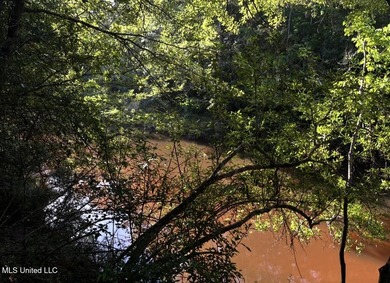 DREAM PROPERTY ALERT 14.4 Acres | 1000 Ft Creek Frontage | - photo 10