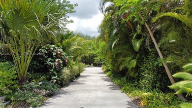 Prepare to be enchanted by this tropical oasis nestled in the - photo 18