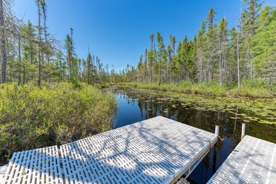 Nestled on over 12 acres with approximately 600 feet of creek - photo 2