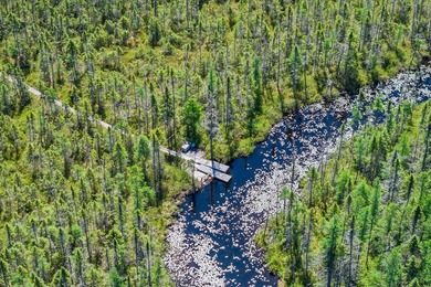 Nestled on over 12 acres with approximately 600 feet of creek - photo 3