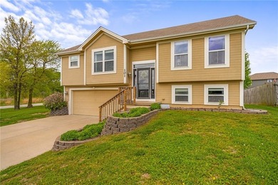 Smithville Lake Home Sale Pending in Smithville Missouri