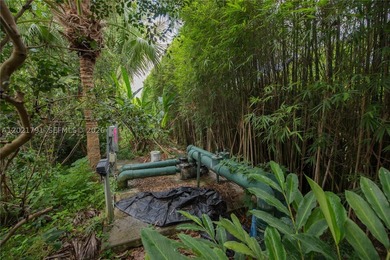 Prepare to be enchanted by this tropical oasis nestled in the - photo 37