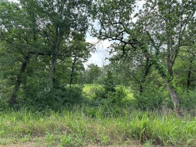  Lot For Sale in Sulphur Oklahoma