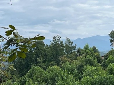Lake Lot For Sale in Hiawassee, Georgia
