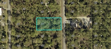 Lehigh Acres Area Lot For Sale in Lehigh Acres Florida