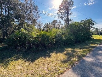 Lehigh Acres Area Lot For Sale in Lehigh Acres Florida