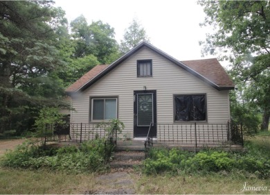 (private lake, pond, creek) Home For Sale in Idlewild Michigan