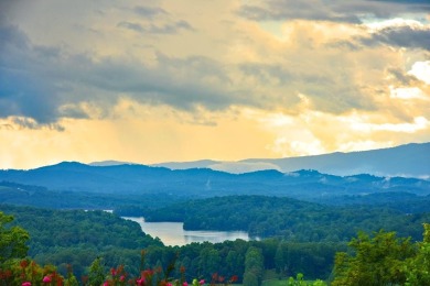 Lake Acreage For Sale in Hayesville, North Carolina
