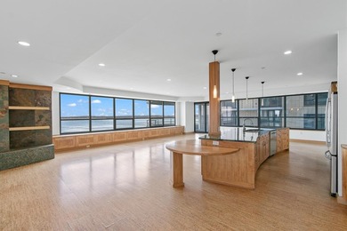 Stunning Lake Monona View Condominium. A dramatic great room