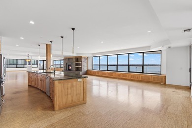 Stunning Lake Monona View Condominium. A dramatic great room