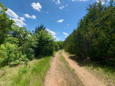 This spectacular lakefront gem near Shell Knob and Emerald Beach - photo 1