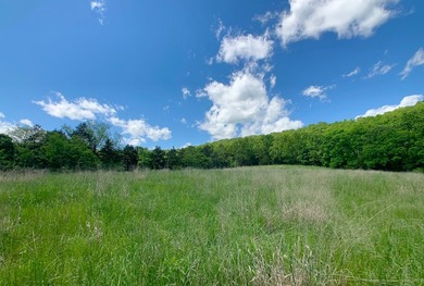 This spectacular lakefront gem near Shell Knob and Emerald Beach - photo 3