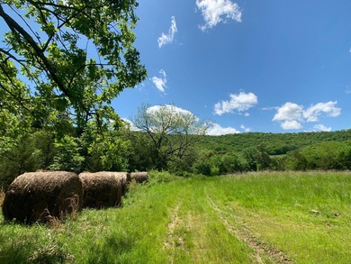 This spectacular lakefront gem near Shell Knob and Emerald Beach - photo 4