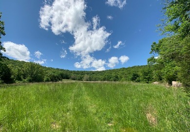 This spectacular lakefront gem near Shell Knob and Emerald Beach - photo 5