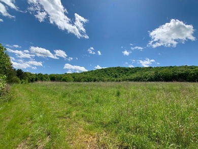 This spectacular lakefront gem near Shell Knob and Emerald Beach - photo 6