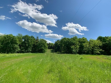 This spectacular lakefront gem near Shell Knob and Emerald Beach - photo 8