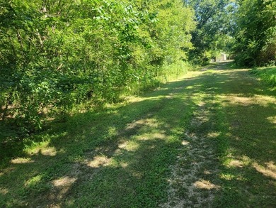 Lake Lot For Sale in Streetman, Texas