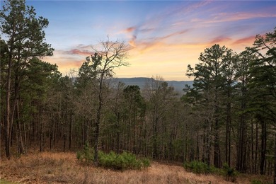 Welcome to your own private oasis nestled in the Ozark Mountains - photo 19