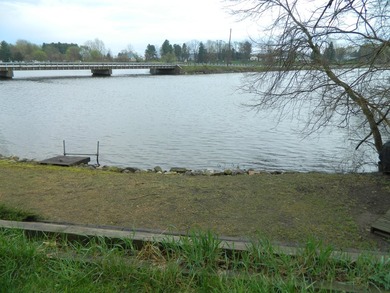 150 ft. of water frontage .Lot has in ground sprinklers and - photo 9