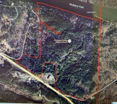 Lake Acreage For Sale in Quinton, Alabama