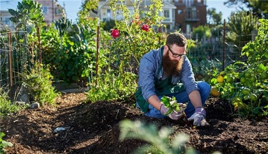 What does it feel like to live in a place designed for