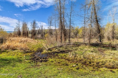 A once-in-a-generation opportunity to own 13 pristine acres - photo 13