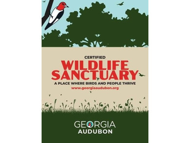 What does it feel like to live in a place designed for